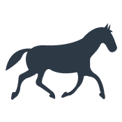 horse racing icon
